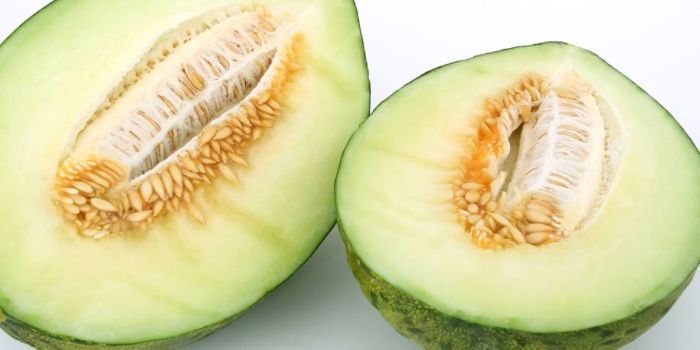 green melon