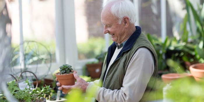 person potting a plant
