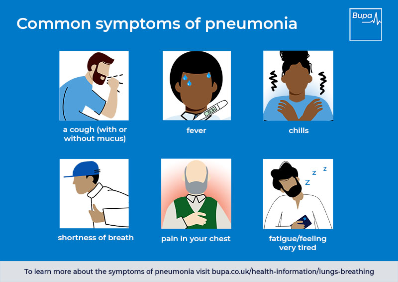 common symptoms of pneumonia infographic