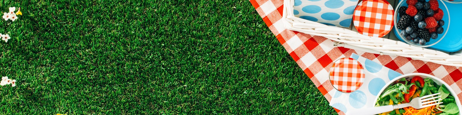 Picnic food on blanket on the grass